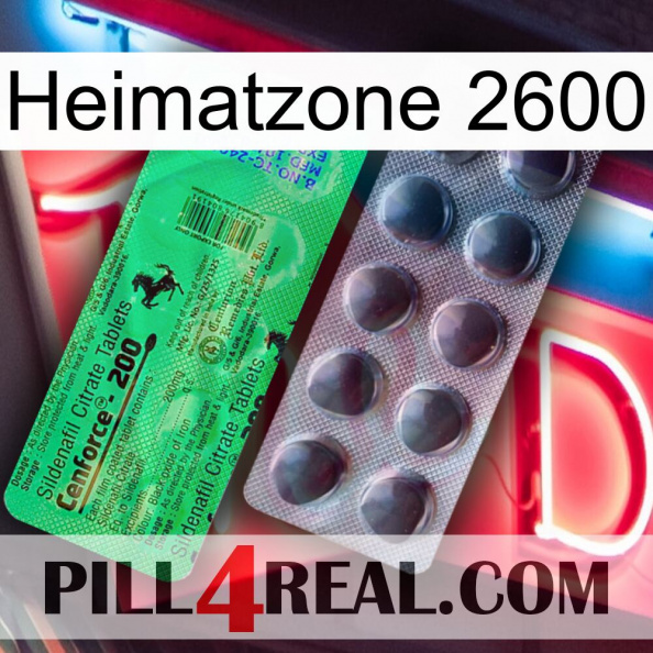 Home Zone 2600 new04